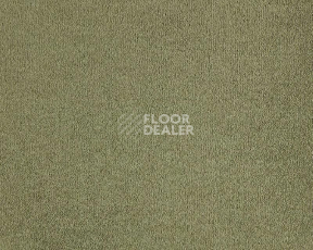 Ковролин Lano Lior 480 Barley фото 1 | FLOORDEALER