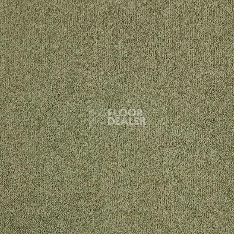 Ковролин Lano Lior 480 Barley фото 1 | FLOORDEALER