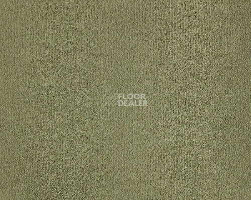 Ковролин Lano Lior 480 Barley фото 1 | FLOORDEALER