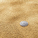 Ковролин Vorwerk Superior 1067 Mira Vorwerk 2f39  | FLOORDEALER