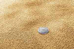 Ковролин Vorwerk Superior 1067 Mira Vorwerk 2f39 фото  | FLOORDEALER