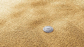 Ковролин Vorwerk Superior 1067 Mira Vorwerk 2f39 фото 1 | FLOORDEALER