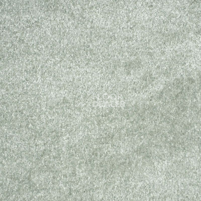 Ковролин Зартекс Essential Soft Essential Soft Серый 003 фото 1 | FLOORDEALER