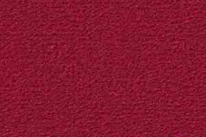 Ковролин Vorwerk Passion 1021 Vorwerk 1j90 фото  | FLOORDEALER