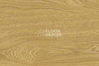 Пробковое покрытие Wood Xl замковое Oak Deluxe фото 1 | FLOORDEALER