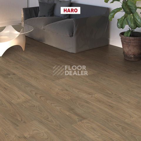 Haro Tritty 100 4V Вяз Варио 544720 фото 4 | FLOORDEALER
