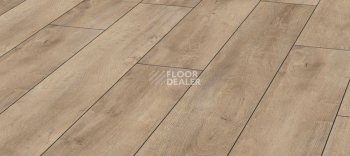 Kronotex Exquisit 8мм d4982 Дуб Восточный Бежевый фото 1 | FLOORDEALER