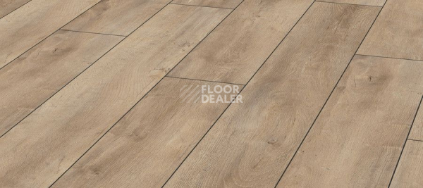 Ламинат Kronotex Exquisit 8мм d4982 Дуб Восточный Бежевый фото 1 | FLOORDEALER