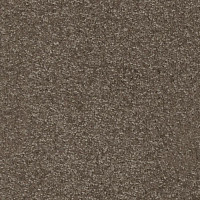 Ковролин AW Masquerade Porzia 42 фото 1 | FLOORDEALER