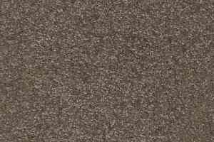 Ковролин AW Masquerade Porzia 42 фото  | FLOORDEALER