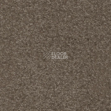 Ковролин AW Masquerade Porzia 42 фото 1 | FLOORDEALER