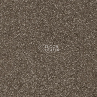 Ковролин AW Masquerade Porzia 42 фото 1 | FLOORDEALER