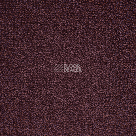 Ковролин  Burgundy фото 1 | FLOORDEALER