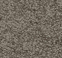 Ковролин AW Gaia Solstice 95 фото 1 | FLOORDEALER