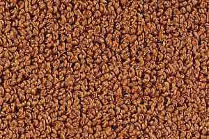 Ковролин Desso Alumina 2056 фото  | FLOORDEALER