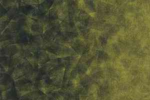 Ковролин Flotex by Starck Artist 324012 Artist Emerald / Chartreuse b4 фото  | FLOORDEALER