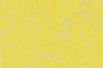 Линолеум Forbo Marmoleum Solid Concrete 3741-374135 yellow glow фото 1 | FLOORDEALER