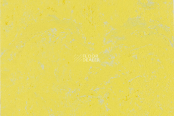 Линолеум Forbo Marmoleum Solid Concrete 3741-374135 yellow glow фото 1 | FLOORDEALER