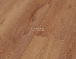 Ламинат My Floor Chalet 10мм m1026 Виверо Коричневый фото 1 | FLOORDEALER