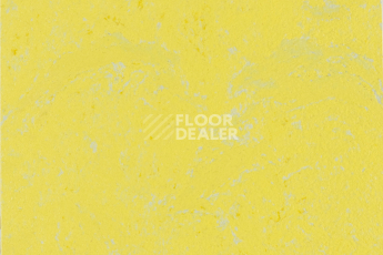 Линолеум Forbo Marmoleum Solid Concrete 3741-374135 yellow glow фото 1 | FLOORDEALER