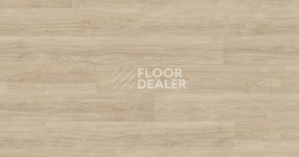 Ламинат Haro Tritty 100 4V ДУБ ЭЛЕГАНЗА КРЕМОВО-БЕЛЫЙ 541475 фото 1 | FLOORDEALER