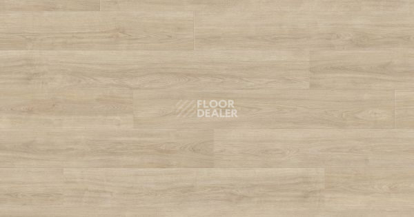 Ламинат Haro Tritty 100 4V ДУБ ЭЛЕГАНЗА КРЕМОВО-БЕЛЫЙ 541475 фото 1 | FLOORDEALER