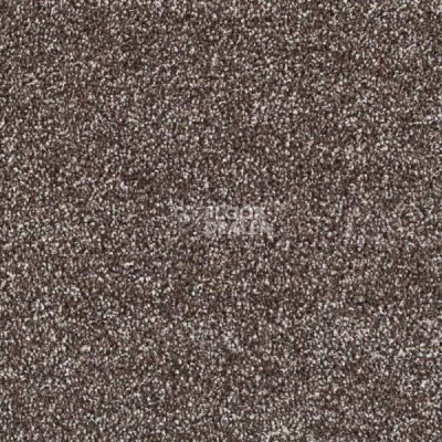 Ковролин Sintelon Modena 303298 фото 1 | FLOORDEALER