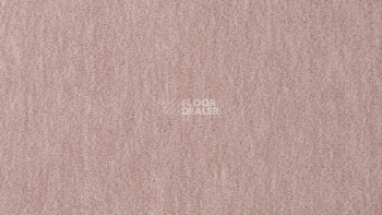 Ковролин Vorwerk Passion 1002 Vorwerk 1m10 фото 1 | FLOORDEALER