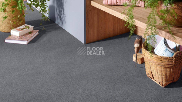 Vorwerk Superior 1072/Nutria Comfort Vorwerk 5x65 фото 2 | FLOORDEALER