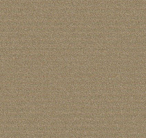 Ковролин Big Caractere 330 фото 1 | FLOORDEALER