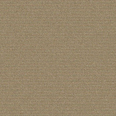 Ковролин Big Caractere 330 фото 1 | FLOORDEALER