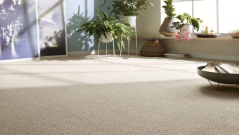 Vorwerk Essential 1008 Vorwerk 8j20 фото 4 | FLOORDEALER