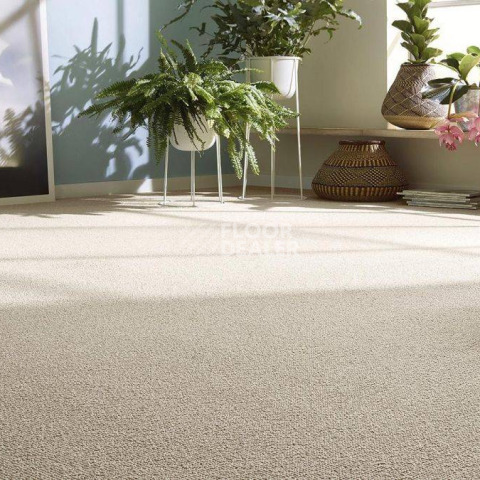 Vorwerk Essential 1008 Vorwerk 8j20 фото 4 | FLOORDEALER