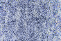 Flotex Colour s 445024 Canyon Cloud фото 2 | FLOORDEALER