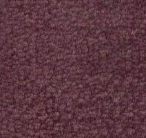 Ковролин Shaw Bradberry 30 481 фото 1 | FLOORDEALER