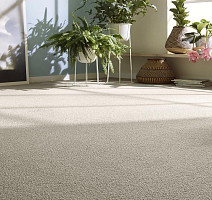 Vorwerk Essential 1008 Vorwerk 7g02 фото 2 | FLOORDEALER