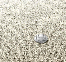 Ковролин Vorwerk Essential 1074/Parma Vorwerk 8j84 фото 1 | FLOORDEALER