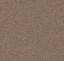 Ковровая плитка Westbond Ibond Natural 9836 фото 1 | FLOORDEALER