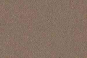 Ковровая плитка Westbond Ibond Natural 9836 фото  | FLOORDEALER