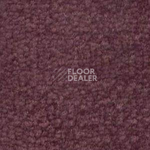 Ковролин Shaw Bradberry 30 481 фото 1 | FLOORDEALER