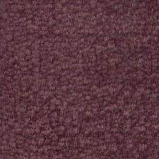 Ковролин Shaw Bradberry 30 481 фото 1 | FLOORDEALER