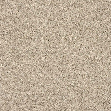 Ковролин Lano Serenity Ser 0250 фото 1 | FLOORDEALER