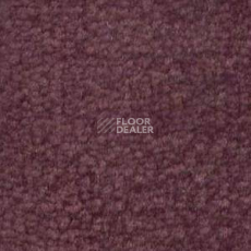 Ковролин Shaw Bradberry 30 481 фото 1 | FLOORDEALER