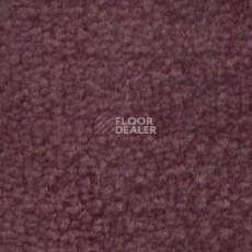 Ковролин Shaw Bradberry 30 481 фото 1 | FLOORDEALER