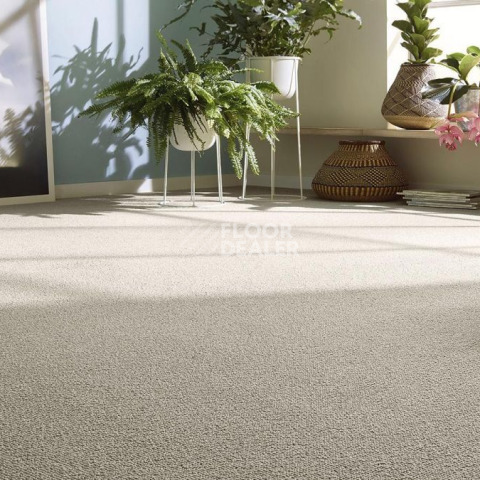 Vorwerk Essential 1008 Vorwerk 7g02 фото 2 | FLOORDEALER