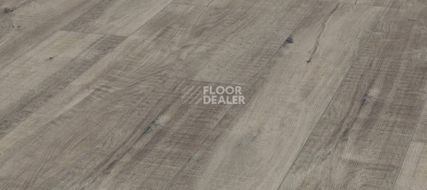 Ламинат Kronotex Exquisit 8мм d4786 Дуб Гала Серый фото 1 | FLOORDEALER