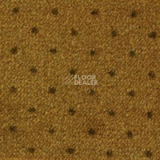 Ковролин Ambassador Associated Weavers 85 фото 1 | FLOORDEALER