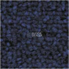 Ковровая плитка Tecsom 3580 db 137 фото 1 | FLOORDEALER