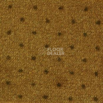 Ковролин Ambassador Associated Weavers 85 фото 1 | FLOORDEALER