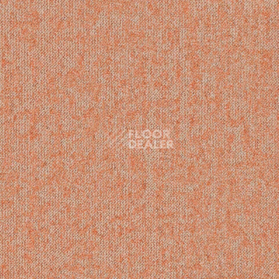 Ковровая плитка Desso Essence Roots AD08 2085 фото 1 | FLOORDEALER
